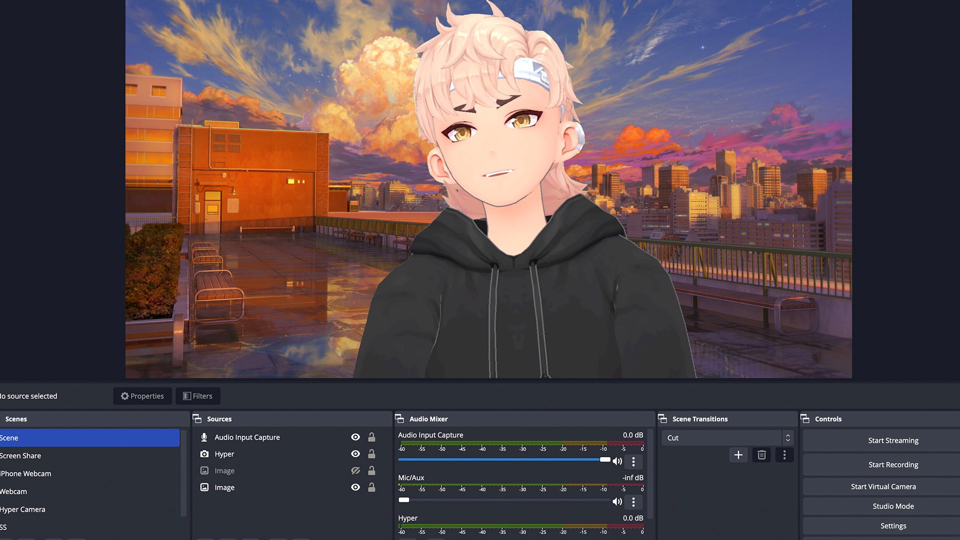 A vtuber correctly imported into OBS with a background